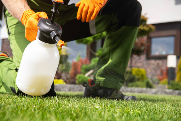 Best Bed Bug Extermination  in Bradley Beach, NJ