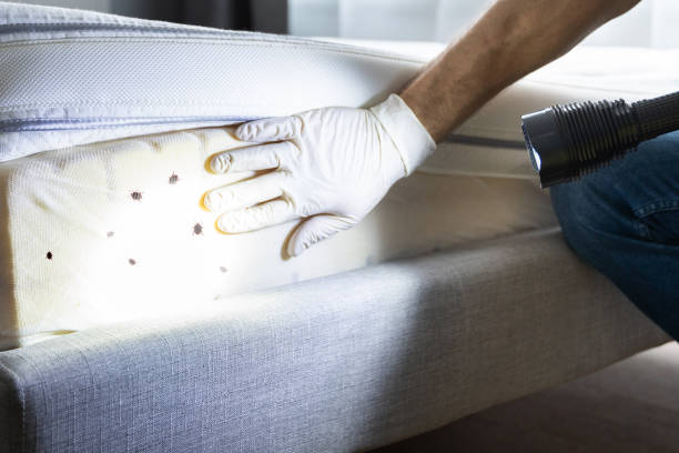 Best Affordable Pest Control Services  in Bradley Beach, NJ