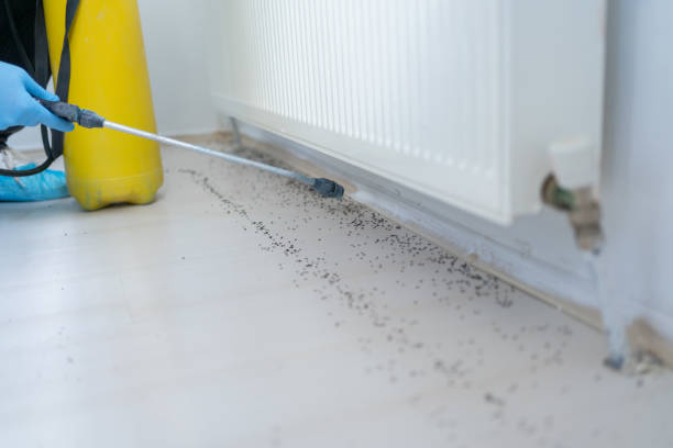 Best Best Pest Control Companies  in Bradley Beach, NJ