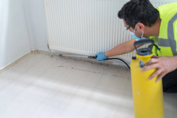Best Rat Extermination Near Me  in Bradley Beach, NJ